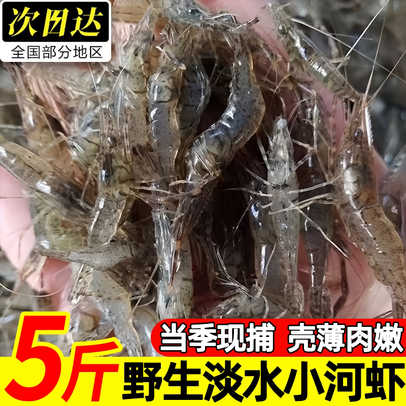 正宗野生淡水急冻小河虾商用