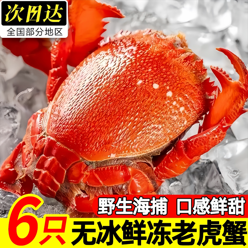 海捕冰鲜大只老虎蟹顺丰