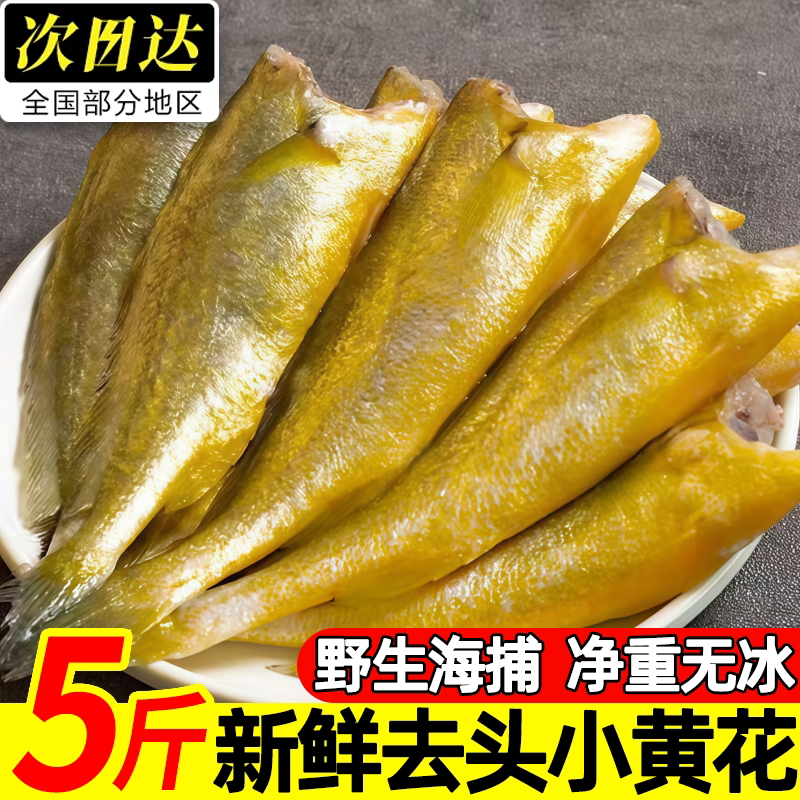 当季海捕去头小黄花鱼纯肉速冻
