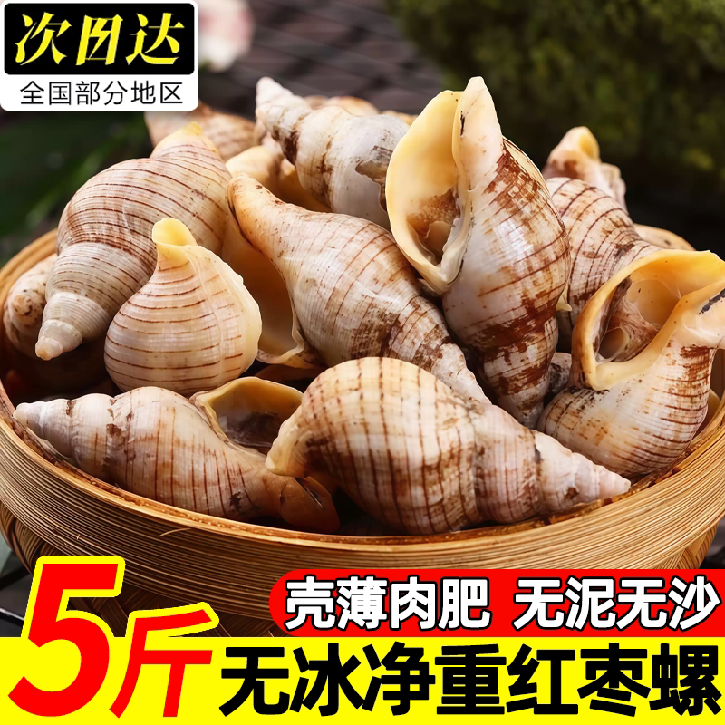 辽宁丹东鲜冻贝贝螺白玉螺商用