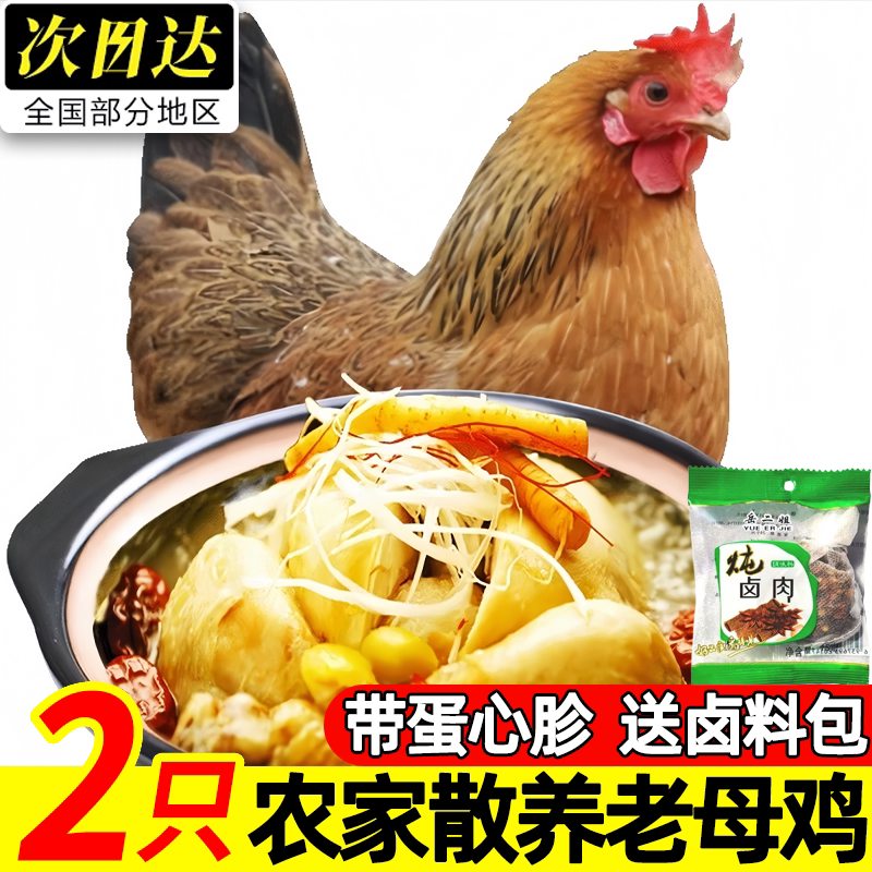农家散养现杀黄油老母鸡
