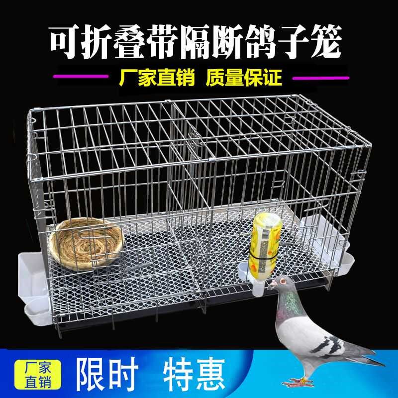 新型鸽子笼养鸽子专用笼大号特大折叠白鸽繁殖笼家用养殖鸟笼巢窝