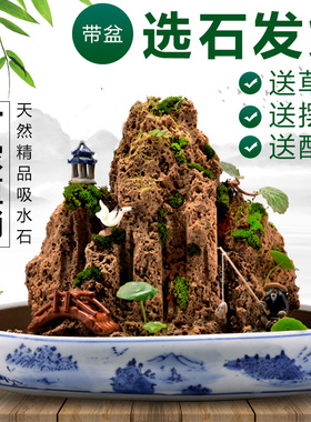 吸水石假山石盆景摆件造景上水石假山盆景原石奇石观赏石微景观