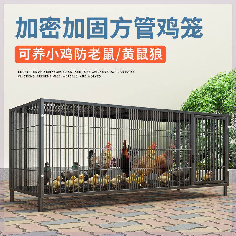 养鸡场专用鸡笼特大号加粗家用养殖笼自动滚蛋母鸡笼可折叠铁笼