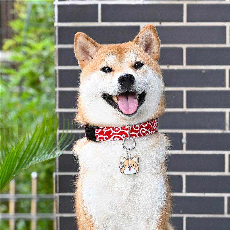 金属狗牌柴犬柯基铭牌身份牌防走失激光刻字合金名牌定做订制包邮