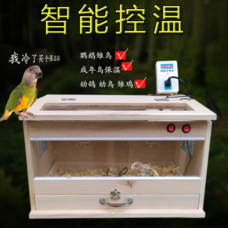 手养鹦鹉玄凤虎皮牡丹活体雏鸟雏鸡鸽子保温育雏箱鸟保温箱饲养箱