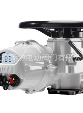 rotorkIQ10F14-B4 罗托克电动执行器调试 开关速度快 传输距离远