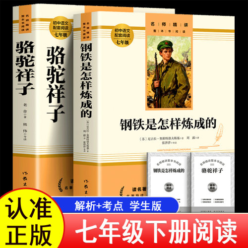 升级版送考点+名师视频讲解