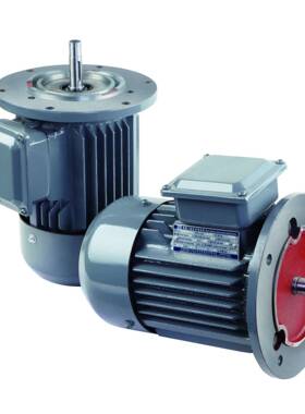 YX3(YS63--YX3-315)B52极电机