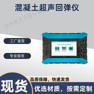 U200混凝土超声回弹仪强度检测仪超声回弹综合法检测仪 GTJ