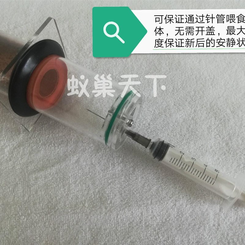 速发神器竹节300蚁巢天下新後巢40*试管巢暴产养蚁必需定制款