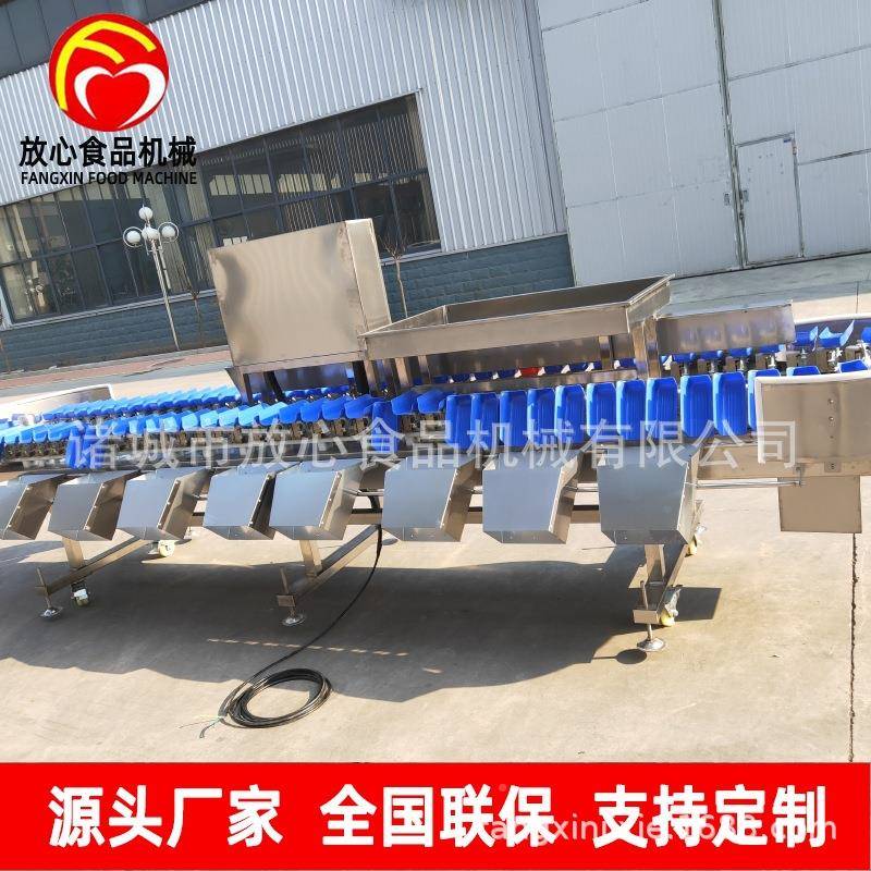 自动称重分重选机 IXK海参海蛎子扇贝分拣机 分料盒分选机级量机