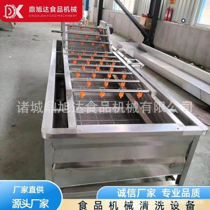 全自DXD-500动气泡清洗机 水果果蔬清洗备 菜净叶类辣椒设蔬菜清