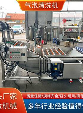 全自气淋泡清洗机 人参苗珊瑚菜野人菜洗菜机 高喷清洗RPT压动机