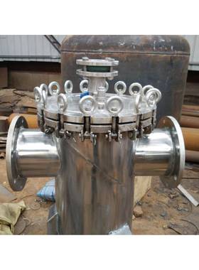 316吊环快过开篮式过滤器 开直通蓝式式滤器快 SBDN100