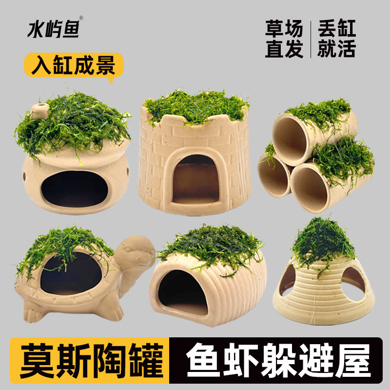 水屿鱼鱼缸水草造景莫斯水草懒人真植物躲避罐陶罐虾屋摆件小鱼躲