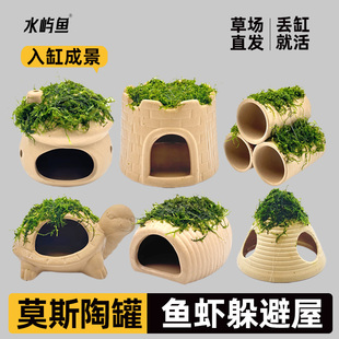 水屿鱼鱼缸水草造景莫斯水草懒人真植物躲避罐陶罐虾屋摆件小鱼躲