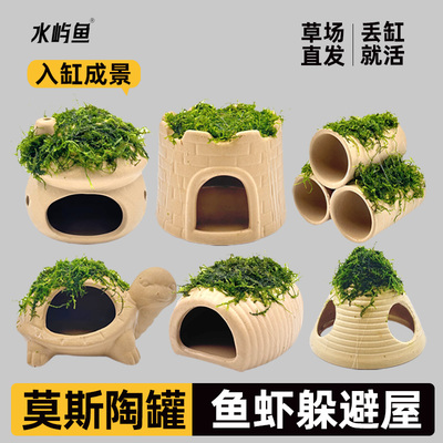水屿鱼莫斯陶罐躲避屋鱼缸造景