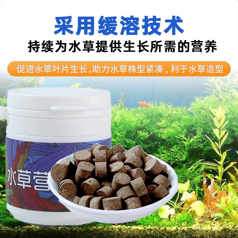 晶呈营养锭片根肥锭基肥水草速效阳性草辣椒榕粗壮红草发色