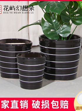 多肉花盆陶瓷大小口径黑色简约家用客厅阳台绿萝兰花虎皮兰植物盆