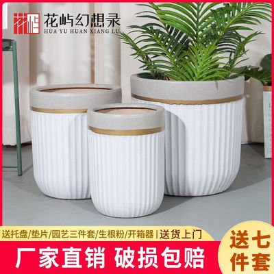 陶瓷大花盆口径30以上白色欧式轻奢家用客厅门口绿植发财树天堂鸟