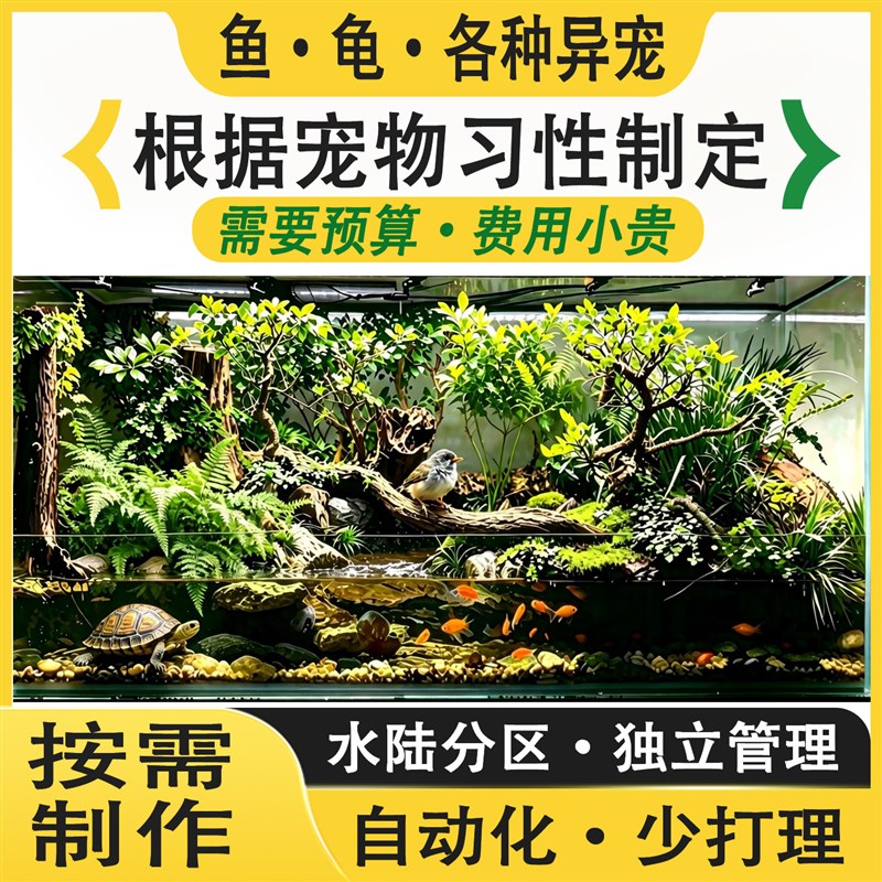 乌龟蛇守宫蜥蜴居寄蟹爬宠生态缸造景鱼缸水陆两栖雨林全套成品