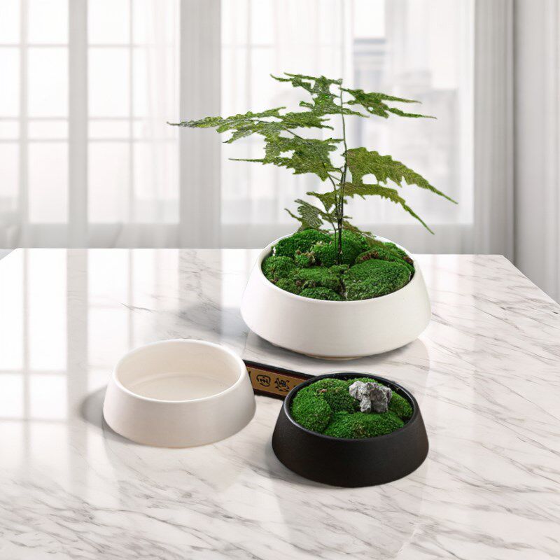 青苔苔藓陶瓷花盆微景观多肉矮浅文竹磨砂黑可水培果盘花卉简约风