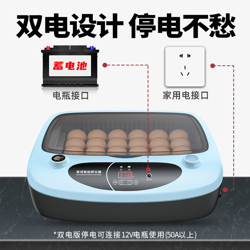孵化器小型家用迷你芦丁鸡孵化机全自动智能鹦鹉鹌鹑小鸟蛋孵化箱