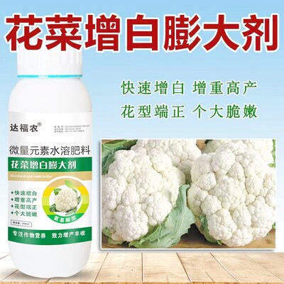 花菜增白膨大剂菜花花椰菜亮白素鲜亮增产高产增重膨大素叶面肥料