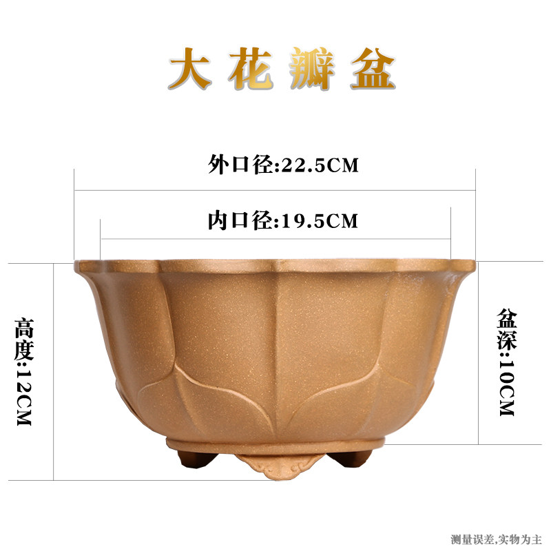 紫砂花盆大号盆景绿植盆栽园艺培育摆设展览松柏文竹多肉多瓣双色