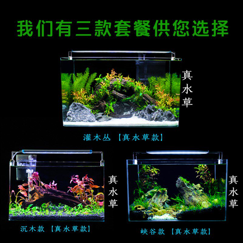 真水草鱼缸水族箱小型客厅办公室桌面家用生态草缸装饰布造景套餐