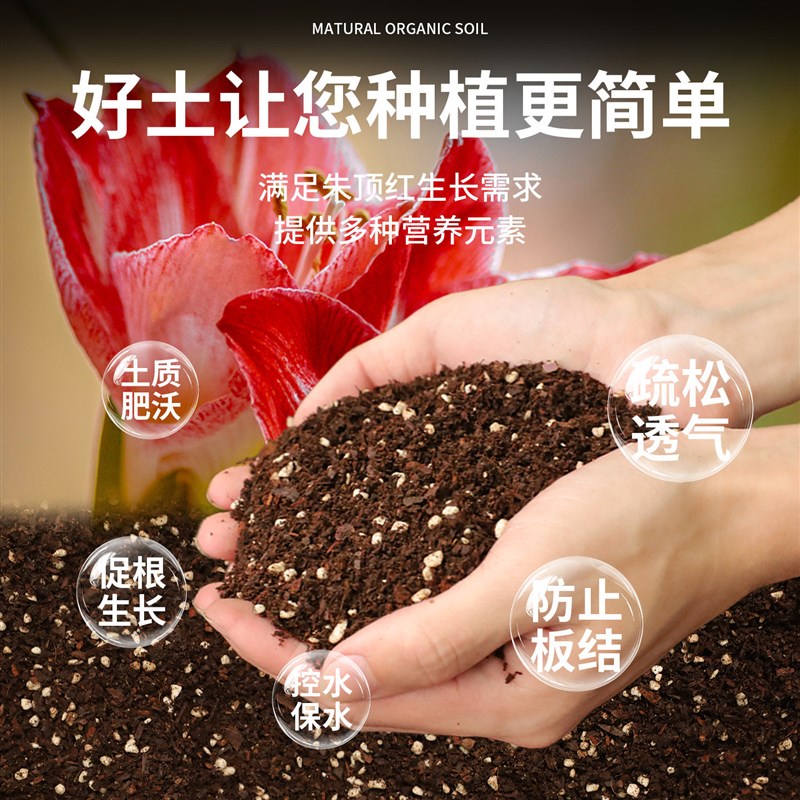 朱顶红专用土球根种球花卉通用营养土养花种植土壤家用有机土肥料图片