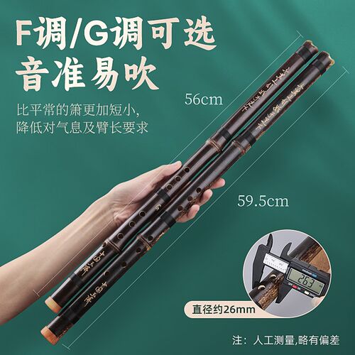 洞箫紫竹专业高档洞萧笛初学入门零基础箫乐器短潇古风八孔GF调