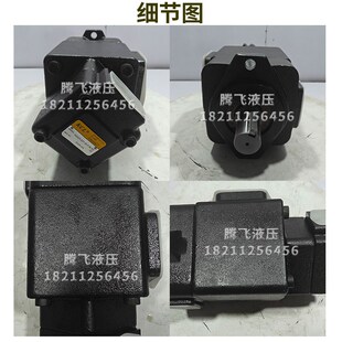 凯嘉VQ425-216-52-F-RLRA-02双联叶片泵VQ215/VQ325/DVQ435压铸机