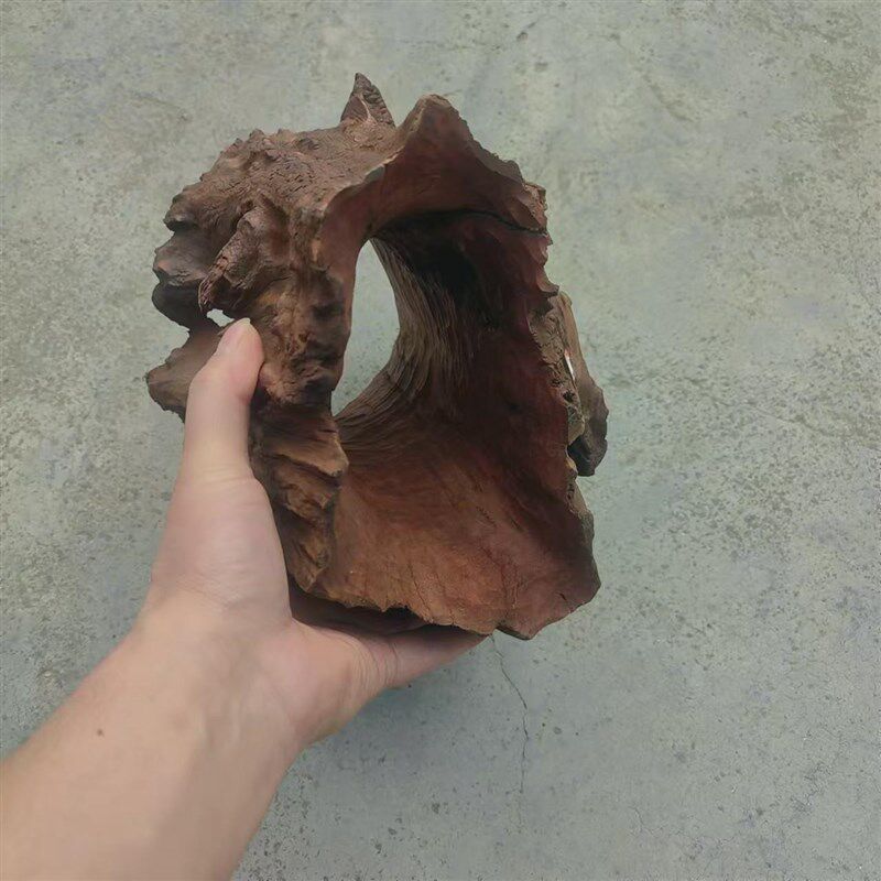 紫柚木树洞沉木寄居蟹鱼虾栖息躲避繁殖罐南美异型灯科鱼造景异形