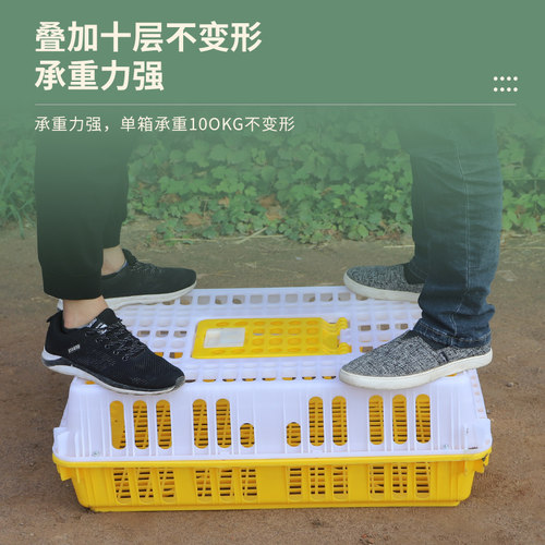 鸡笼运输笼塑料家禽周转箱筐成鸡鸭鹅鸽子笼子家用大号兔笼养殖笼