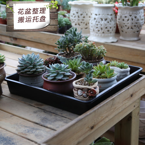 加厚育苗盒小黑方整理育苗盘多肉育苗盆托盘叶插盆收纳框套装