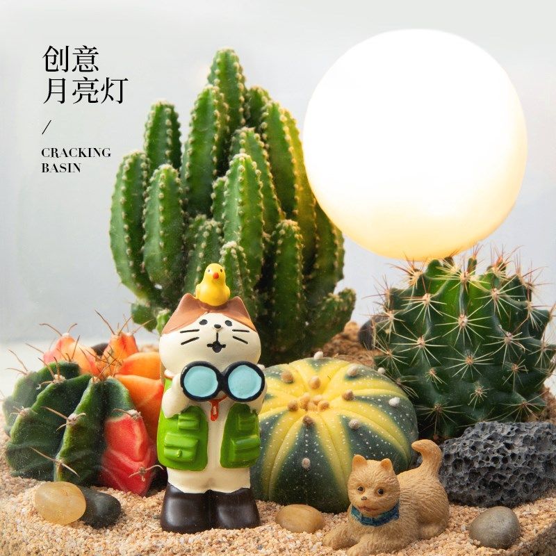 趣味仙人掌微景观盆栽 沙漠山丘微景观盆景 多肉花卉盆景送礼