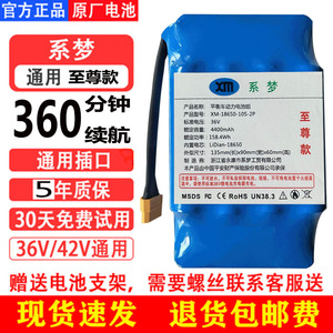 电动平衡车电池36V42V电瓶阿尔郎专通用双轮扭扭车锂电池组驿特行