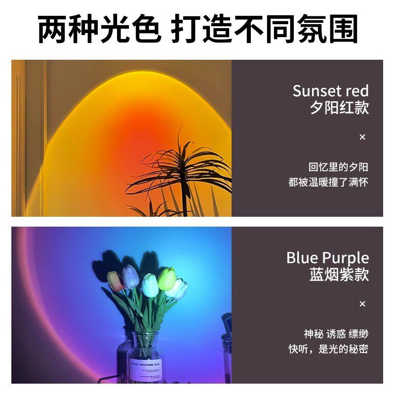明装日不落射灯可调角度玄关过道灯艺术感氛围灯夕阳灯网红落日灯