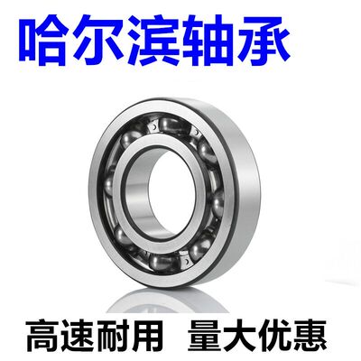 哈尔滨轴承6317 6318 6319 6320 6322 6324 6326 6328 6330 RZ RS