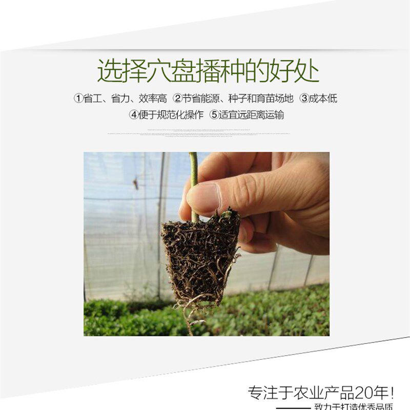 育苗穴盘西瓜托盘盆辣椒茄子草莓蔬菜芽菜营养杯营养钵育苗盘
