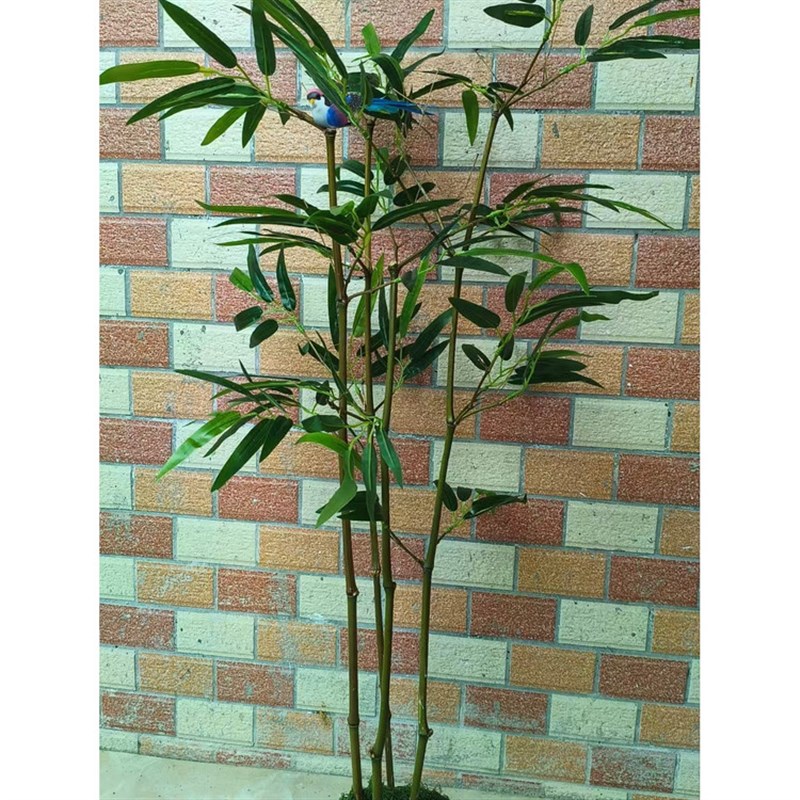 绿植盆景盆栽真竹高仿竹叶仿真造型竹子仿植物室内外摆景造景装饰