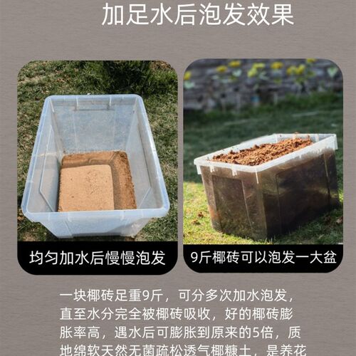 进口脱盐椰砖营养土养花通用型椰糠9斤花土种菜肥多肉土壤种植土