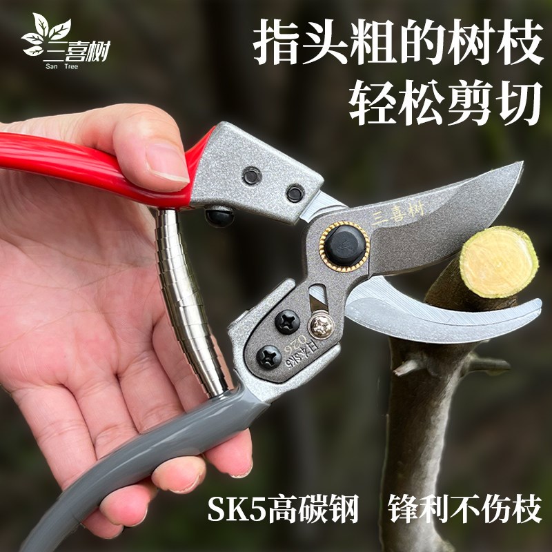 三喜树剪刀修枝剪果树园艺修枝剪专用剪刀花剪园艺剪刀枝剪修枝剪图片