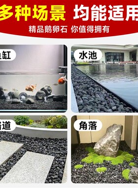 天然鹅卵石黑色雨花石头原石庭院铺地花园挡土石围边鱼缸造景