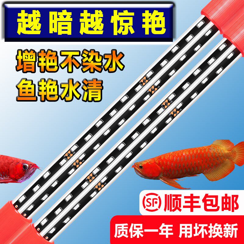 四维神灯龙鱼增艳灯诱色发色专用灯三基色红龙鱼缸照明led防水灯