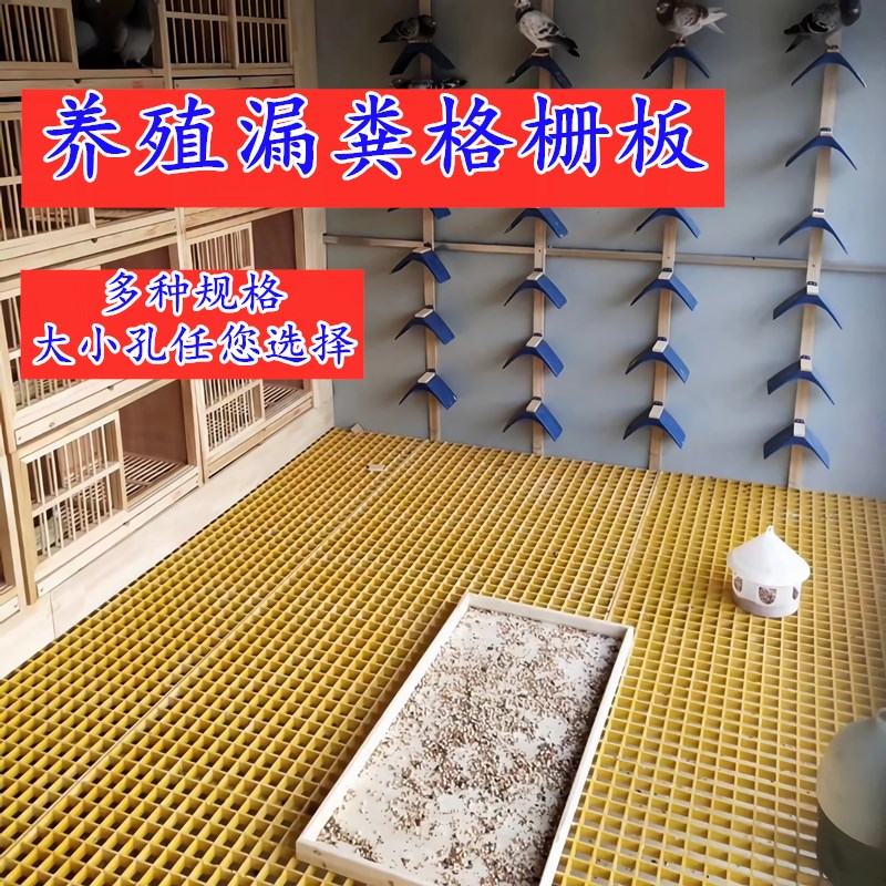 鸽舍地网养殖鸽子漏粪板鸽笼专用底网信鸽公棚玻璃钢格栅养殖平台