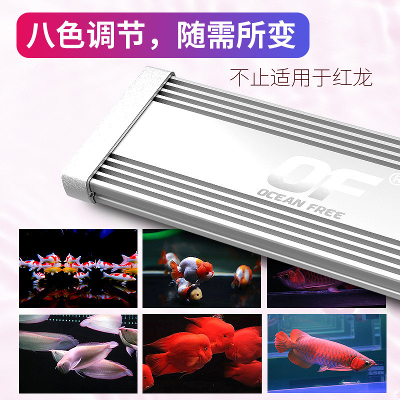 仟湖龙鱼灯防水鱼缸灯龙鱼LED灯专业水中灯潜水灯红金龙鱼照明灯