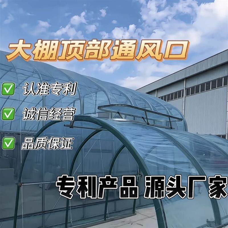 大棚顶部通风口换气天窗大棚换气通风天窗厂家大棚放风口通风窗